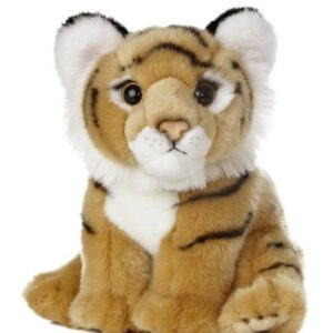 Bengal Tiger Cub 10