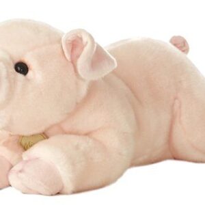 Pig Miyoni 16