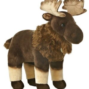 Moose Miyoni 14.5