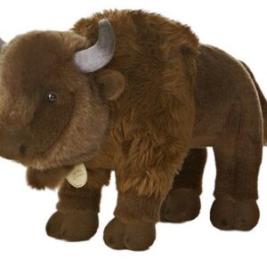 Bison Miyoni 13