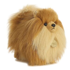 Pomeranian 9 inch Miyoni