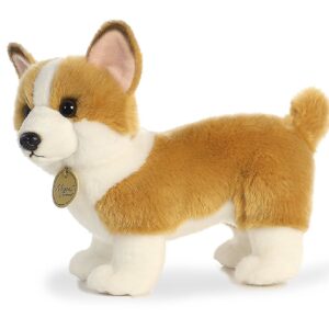 Corgi Miyoni 10.5 Inch