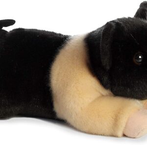 Hampshire Pig 11 inch Miyoni
