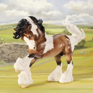 Gypsy Vanner Horse