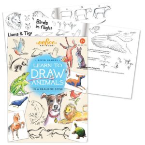 Learn to Draw Animals