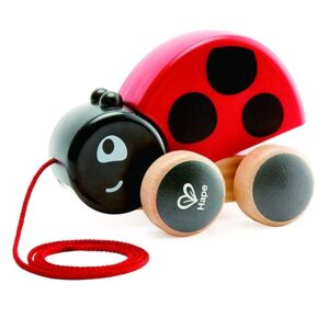Ladybug Pull Along