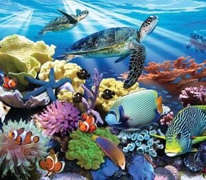 Ocean Turtles 200 Pc