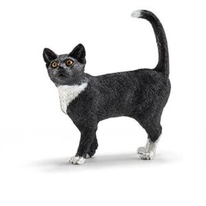 Cat, Standing