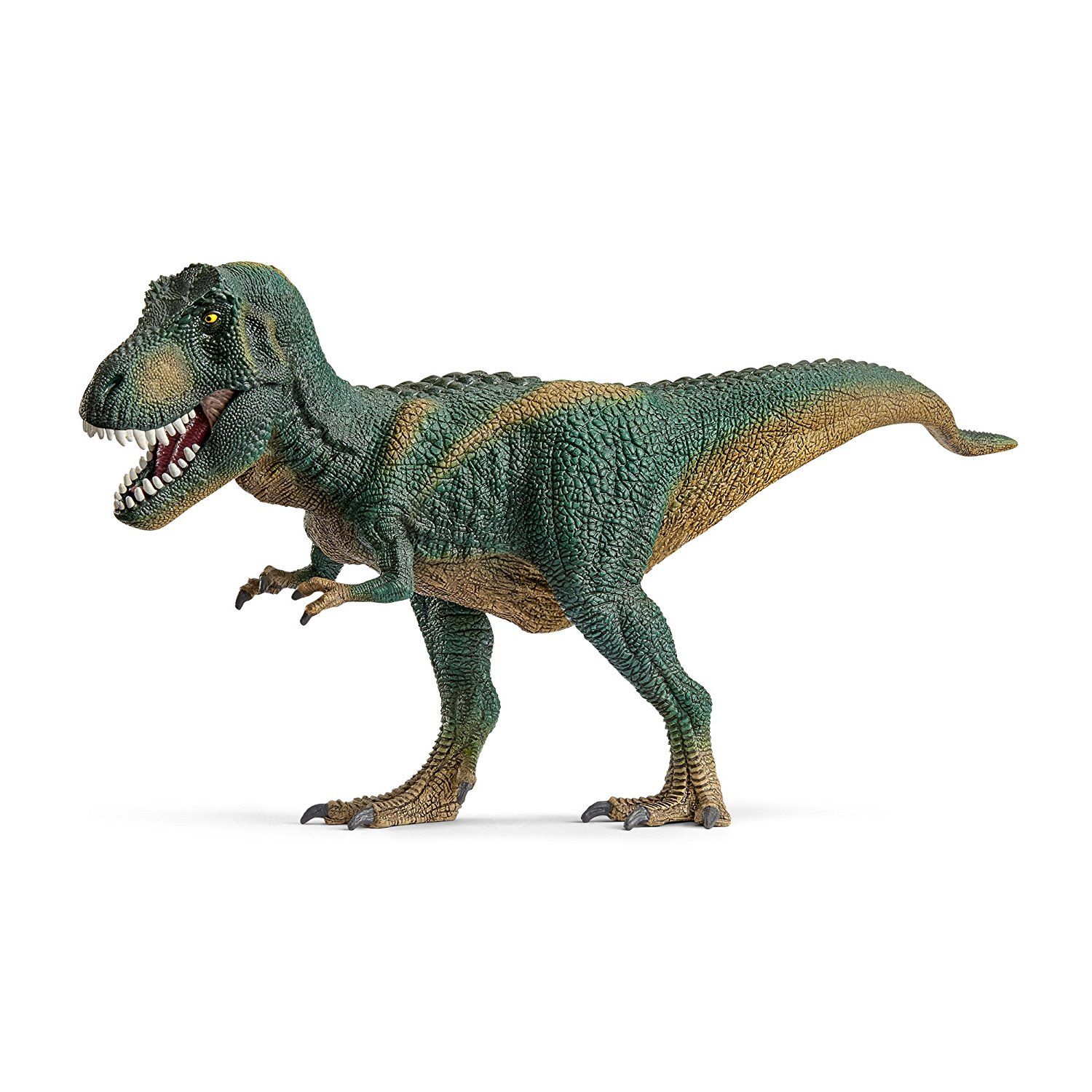 Tyrannosaurus Rex Dinosaur