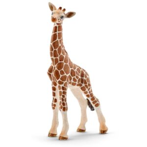 Giraffe Calf