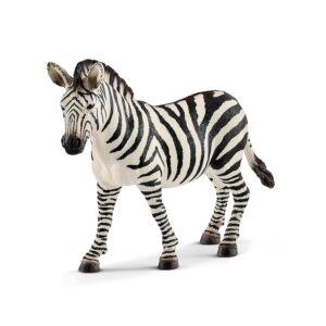 Zebra, Female