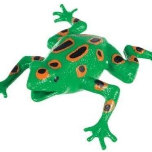 Frog Squishimal 5 inch (One Random Color)
