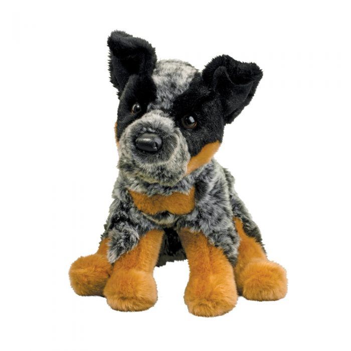 DEXTER AUSTRAL CATTLE DOG 12″