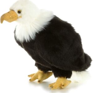 Regal Eagle 10 Inches
