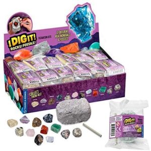 Dig It! Rocks and Fossils