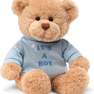 Its A Boy Bear 12 Inches