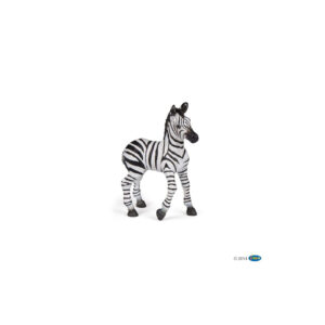 Zebra Cub