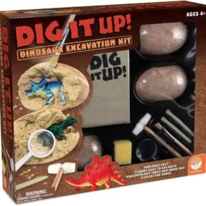 Dig It Up!Dino Excavation Kit