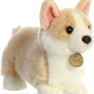 Pembroke W. Corgi Pup 9 Myoni
