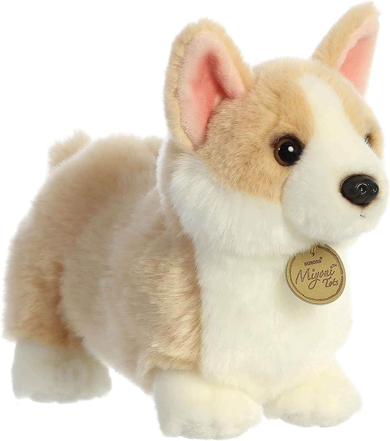 Pembroke W. Corgi Pup 9 Myoni