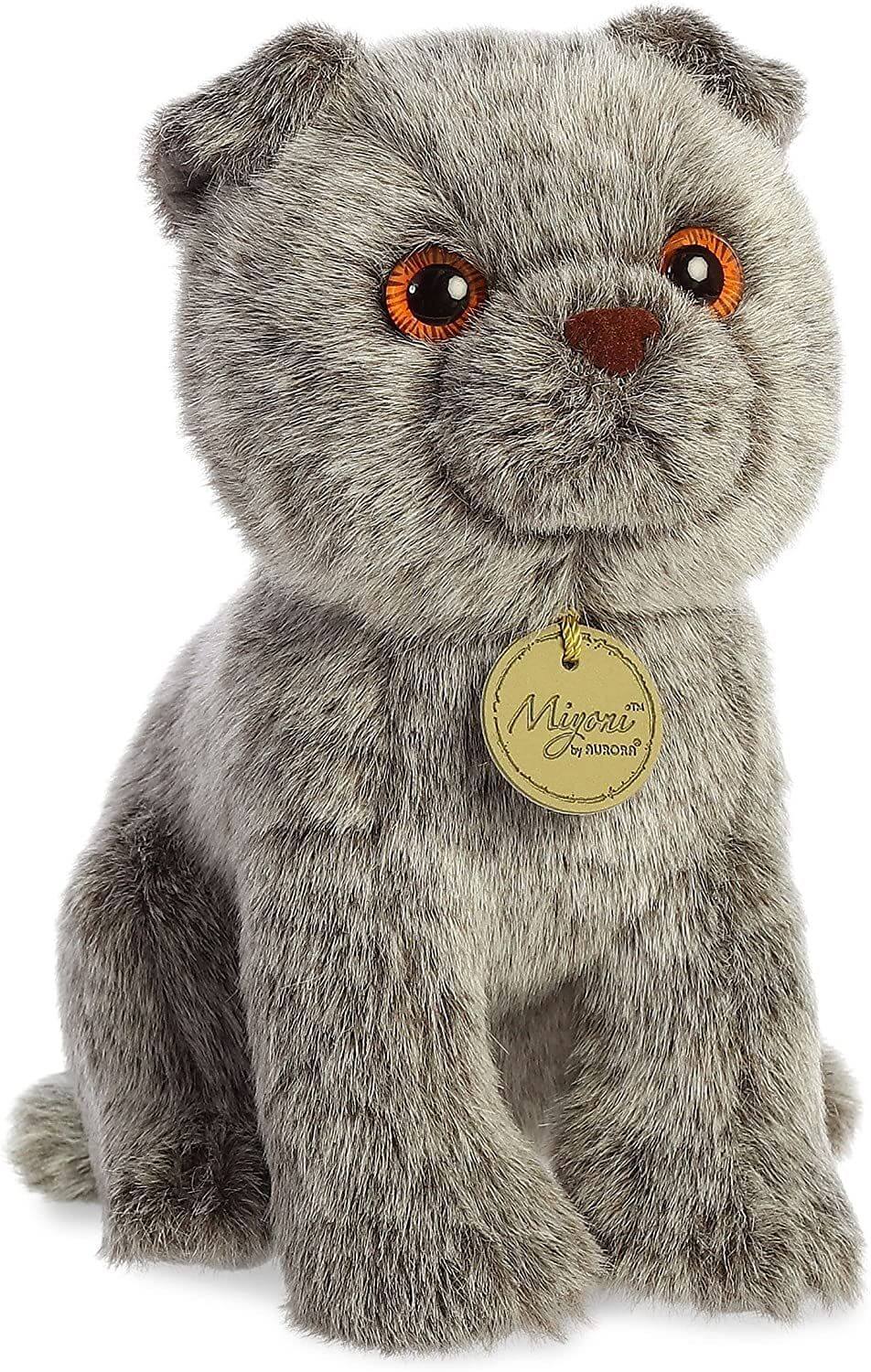 Scottish Fold 9 Inches Myoni
