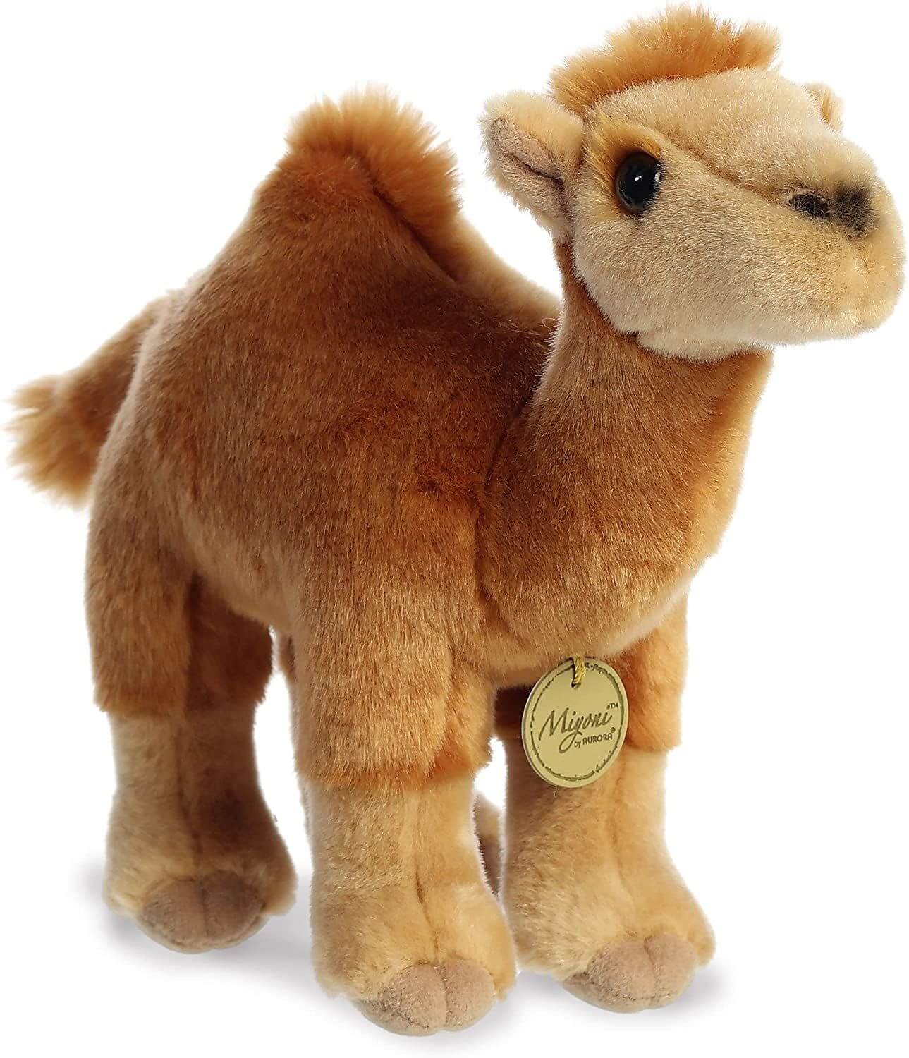 Dromedary Camel 11 Inches Myoni