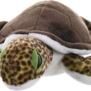 Sea Turtle Green Cuddlekins