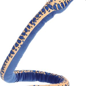 Kusheez Blue Snake 50 Inch