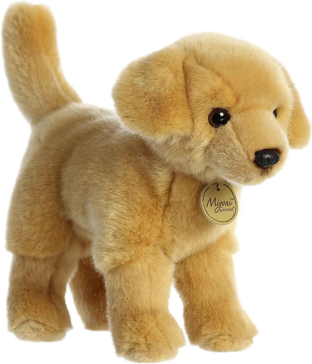 Yellow Lab Miyoni 10 Inch