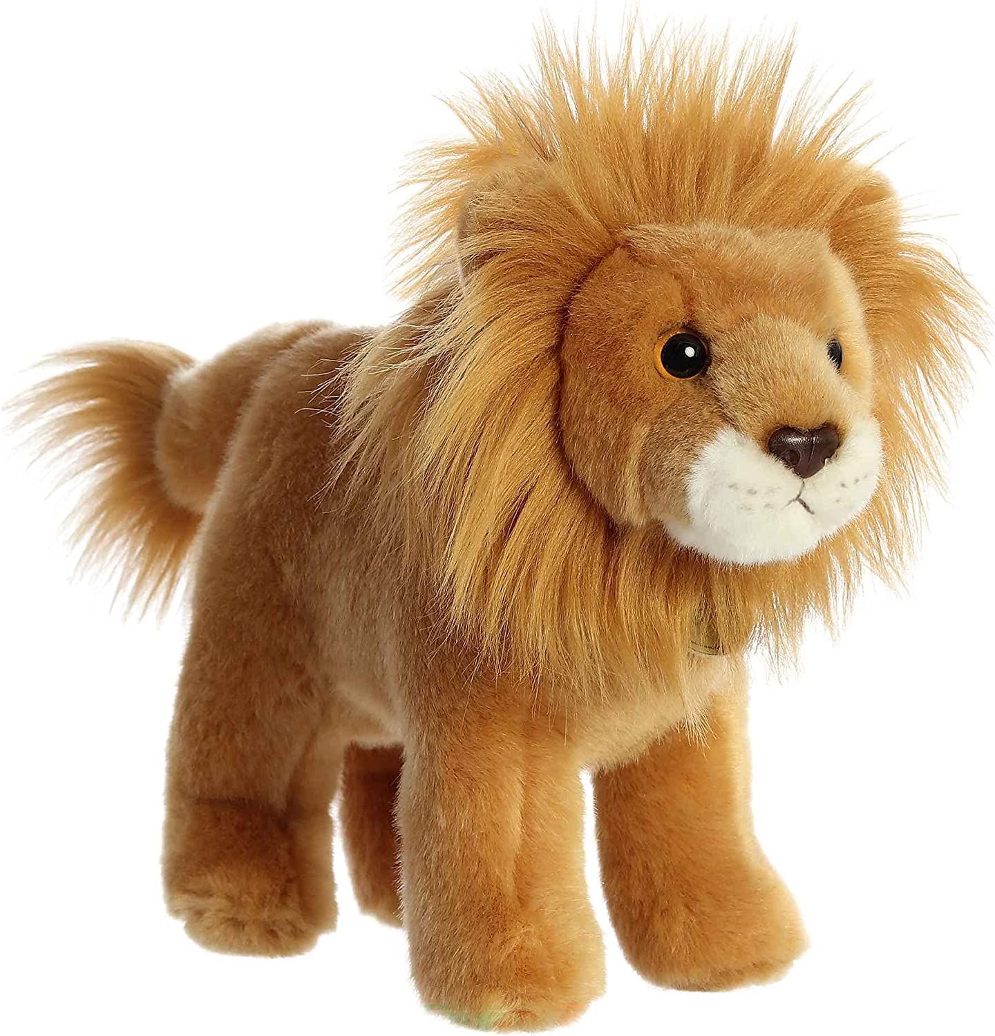 Lion Miyoni 10 Inch