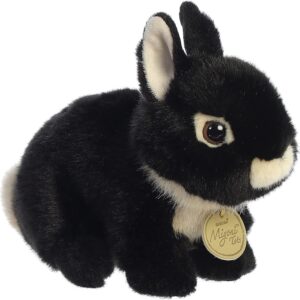 Netherland Dwarf Bunny Blk