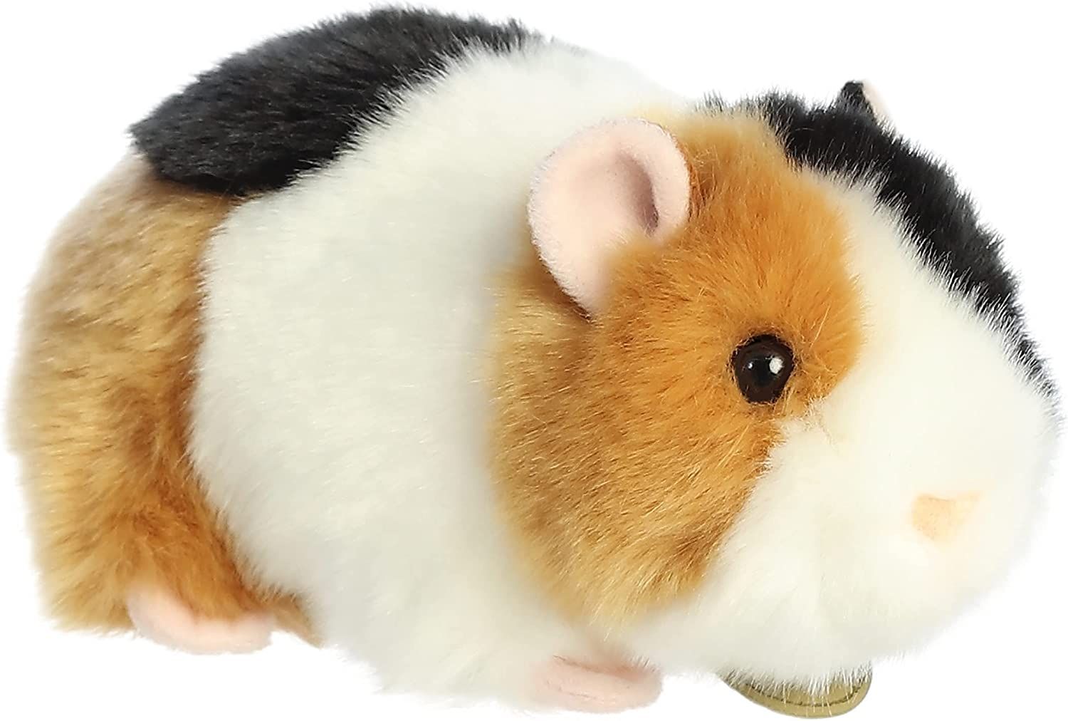 Guinea Pig Myoni 7.5 Inch