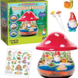 Woodland Forest Plant & Grow