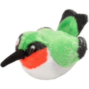 Ruby Throat Hummingbird