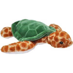 Sea Turtle Ecokins