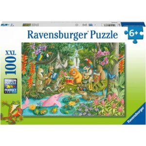 Rainforest River Band 100 Piece