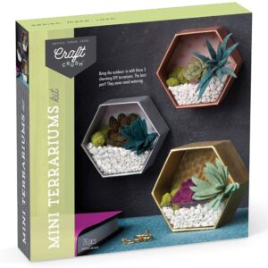 Mini Terrariums - Craft Crush