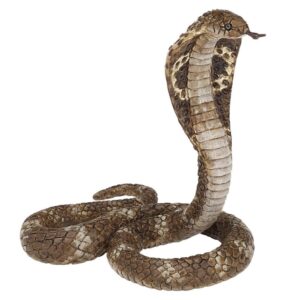 King Cobra