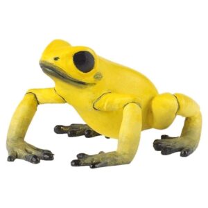 Equatorial Yellow Frog