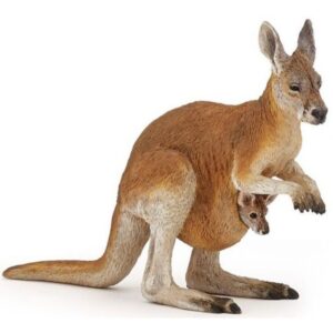 Kangaroo & Joey