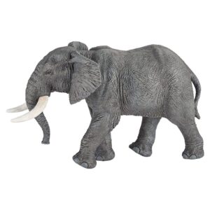 African Elephant