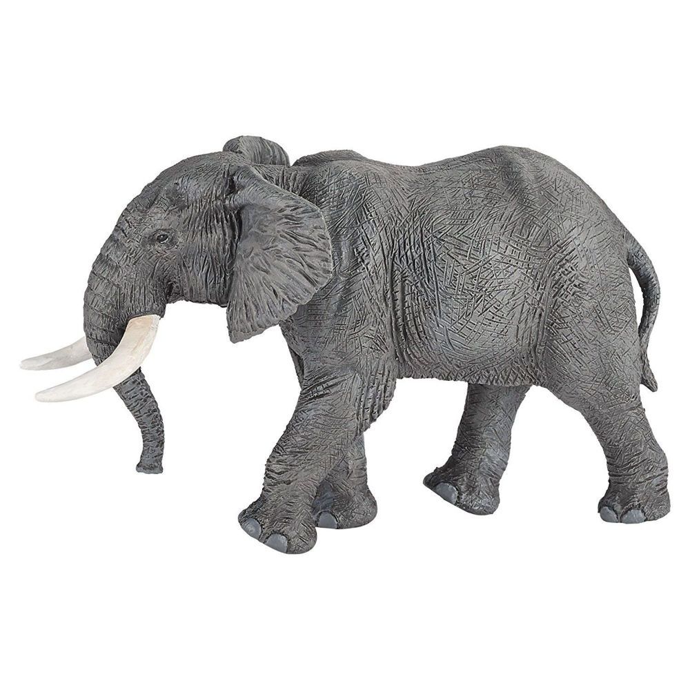African Elephant