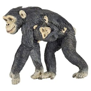 Chimpanzee & Baby