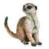 Sitting Meerkat
