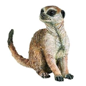 Sitting Meerkat