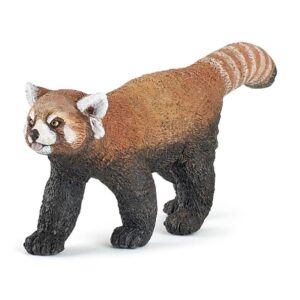 Red Panda