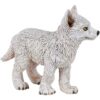 Young Polar Wolf