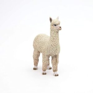 Alpaca
