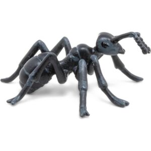Ant