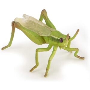 Grasshopper
